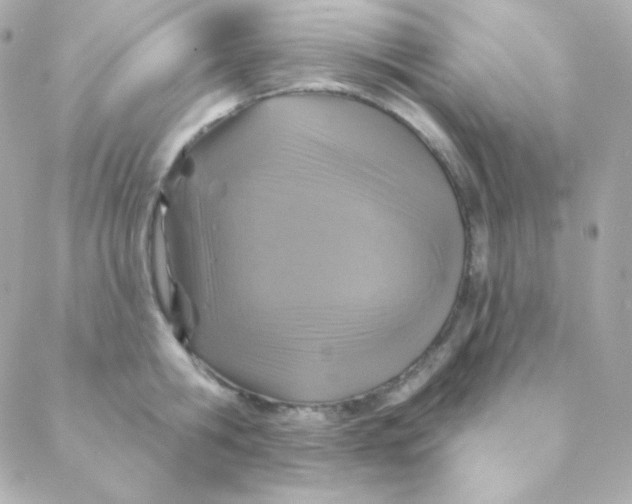 X0000088630806200706151916