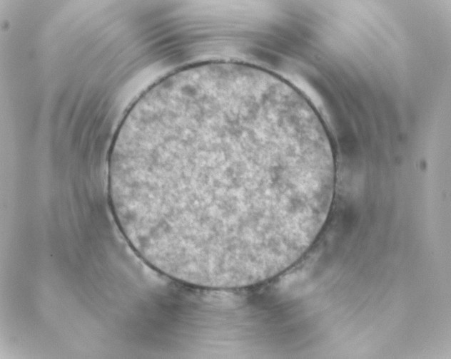 X0000088630807200706151916