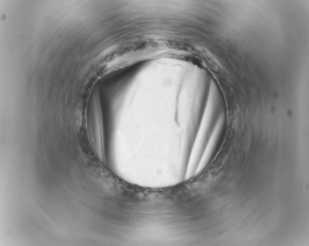 X0000088630821200706151915