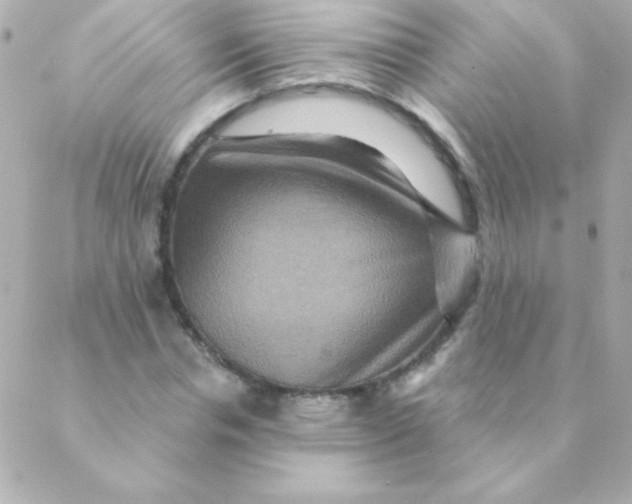 X0000088630826200706151915