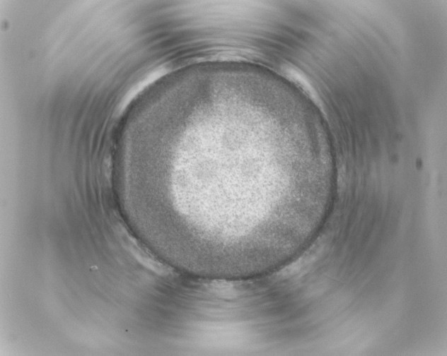 X0000088630827200706151915