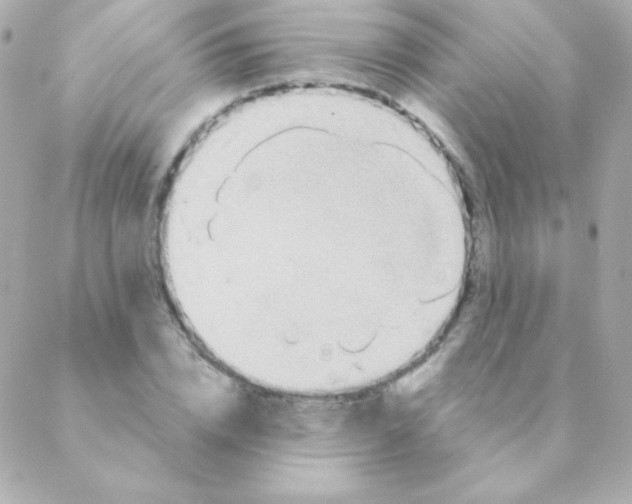 X0000088630832200706151915