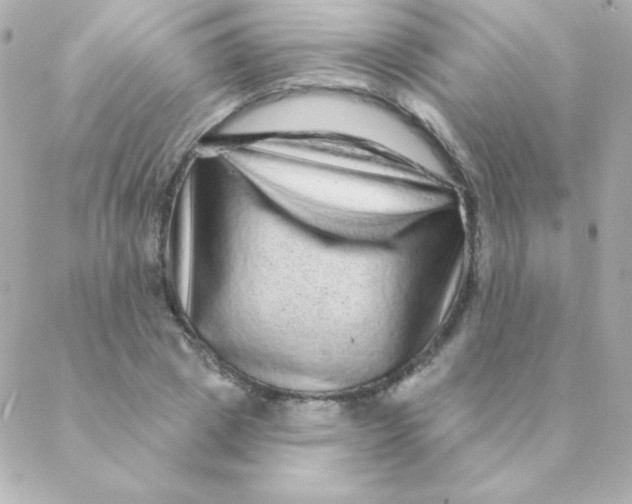 X0000088630833200706151915