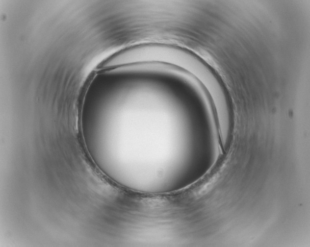 X0000088630838200706151915