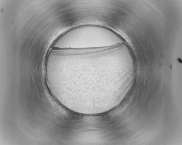 X0000088630840200706151915