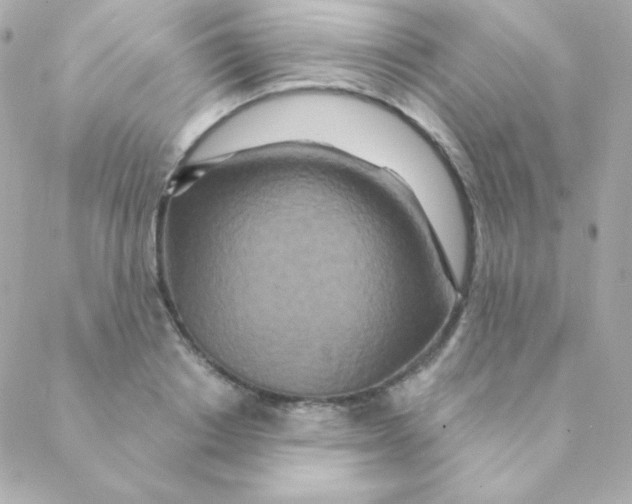 X0000088630842200706151915