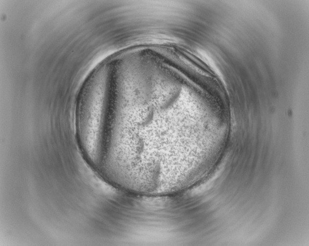 X0000088630843200706151915