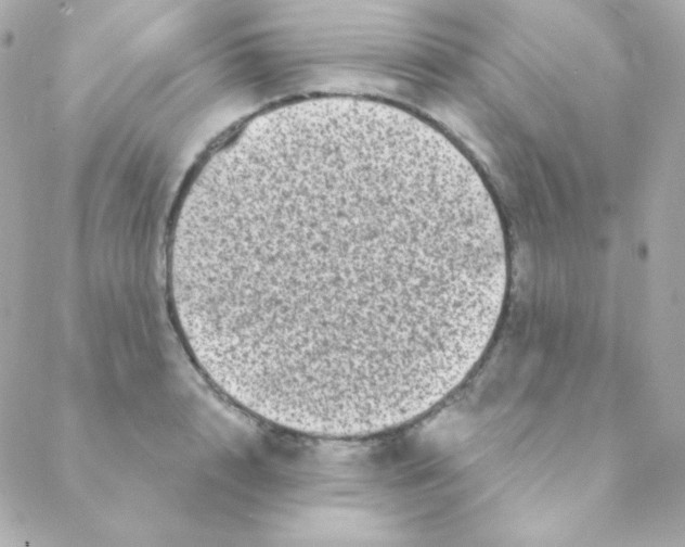 X0000088630848200706151915