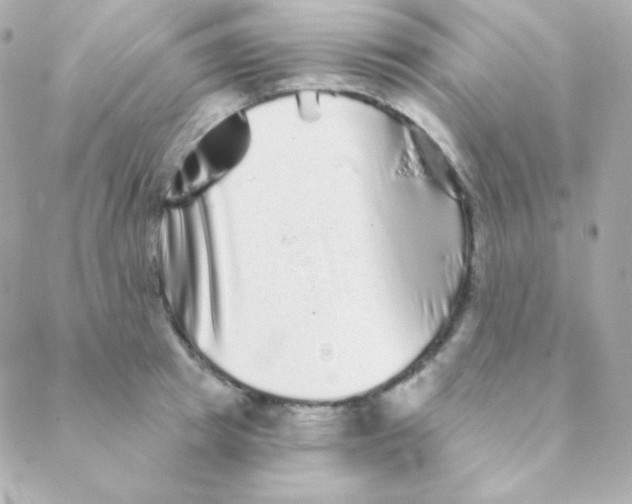 X0000088630849200706151915