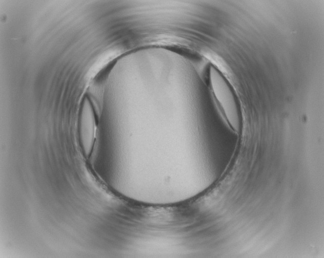 X0000088630850200706151915