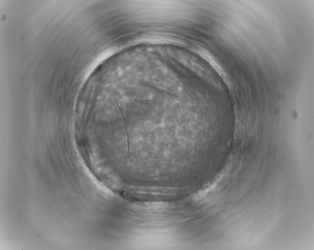 X0000088630853200706151915