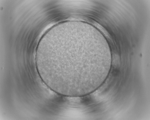 X0000088630856200706151915
