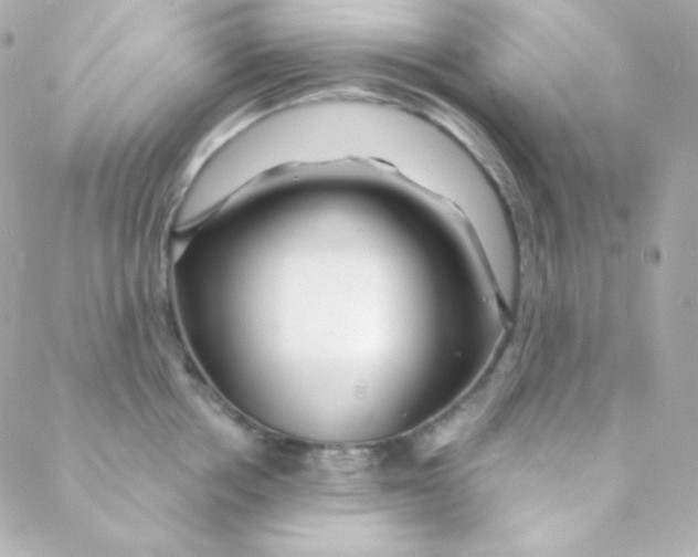 X0000088630858200706151915