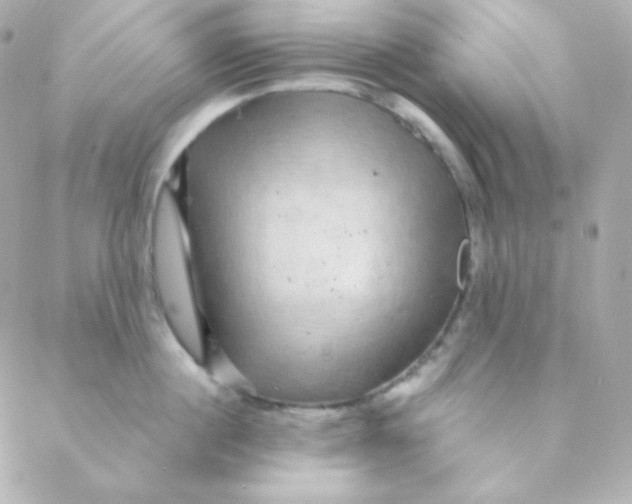 X0000088630860200706151915