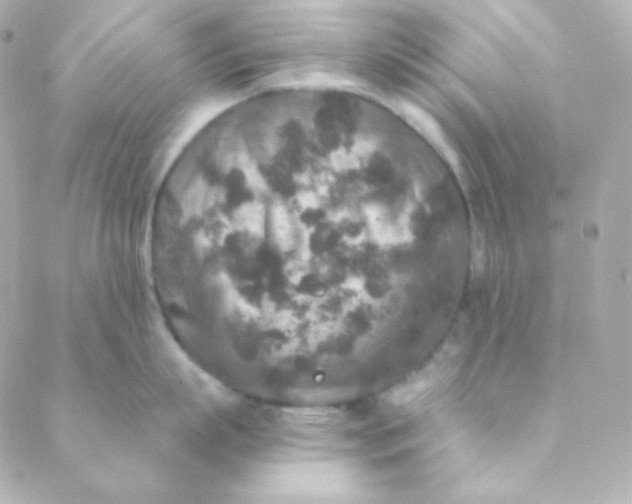 X0000088630863200706151915