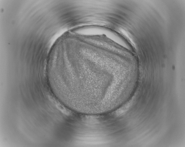 X0000088630875200706151914