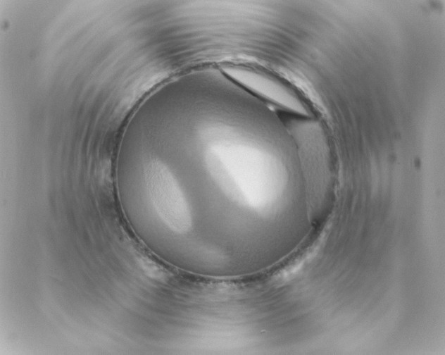 X0000088630881200706151914