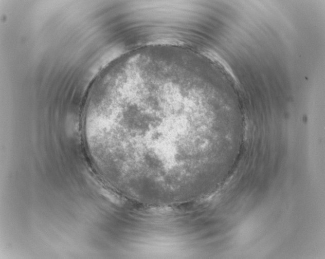 X0000088630882200706151914