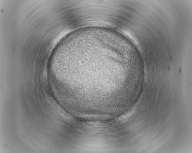 X0000088630883200706151914