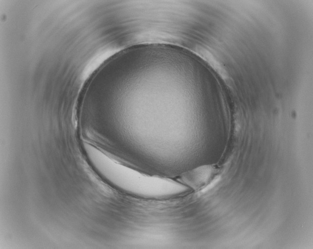 X0000088630885200706151914
