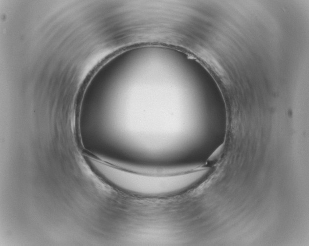 X0000088630888200706151914