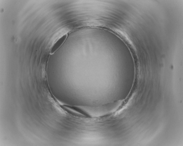 X0000088630889200706151914