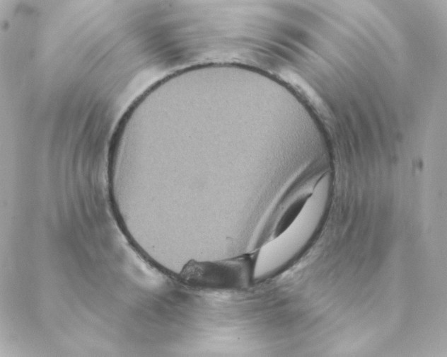 X0000088630894200706151914