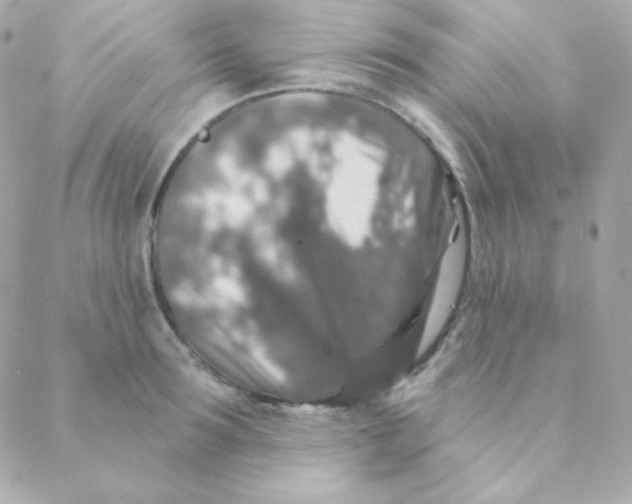 X0000088630899200706151914