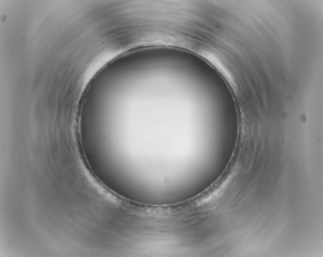 X0000088630901200706151914