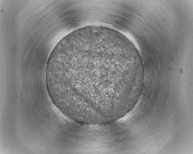 X0000088630903200706151914