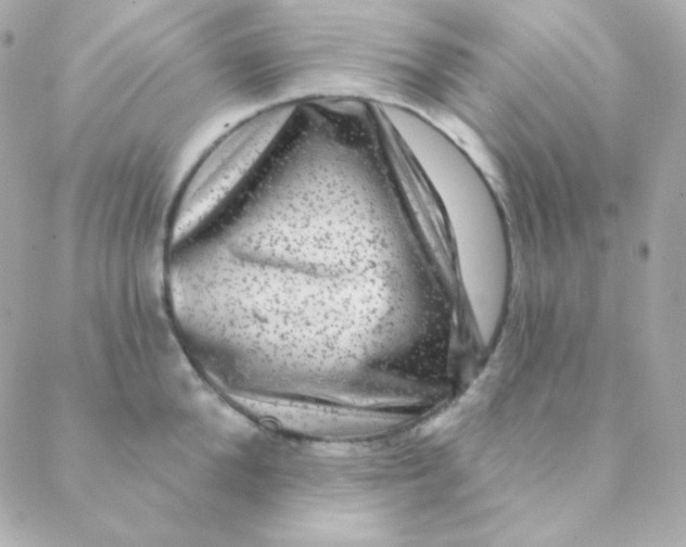 X0000088630904200706151914