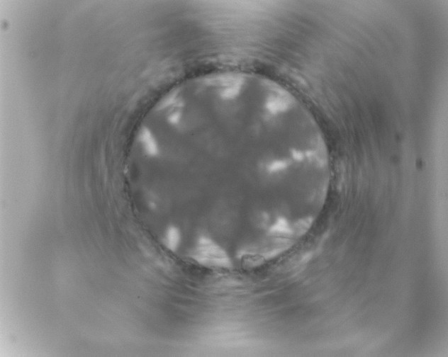 X0000088630913200706151913