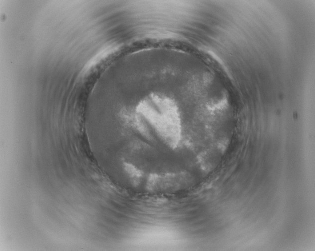 X0000088630919200706151913