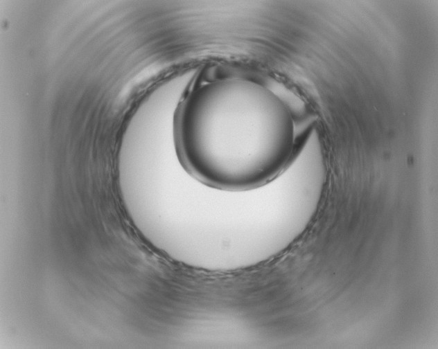 X0000088630920200706151913