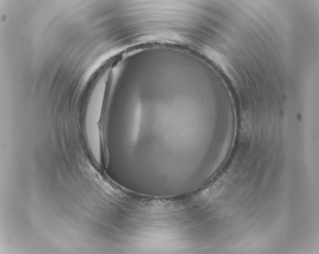 X0000088630923200706151913