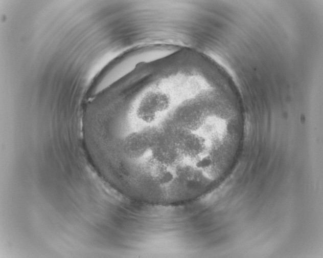 X0000088630925200706151913