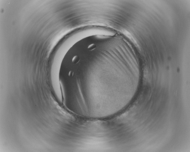 X0000088630926200706151913