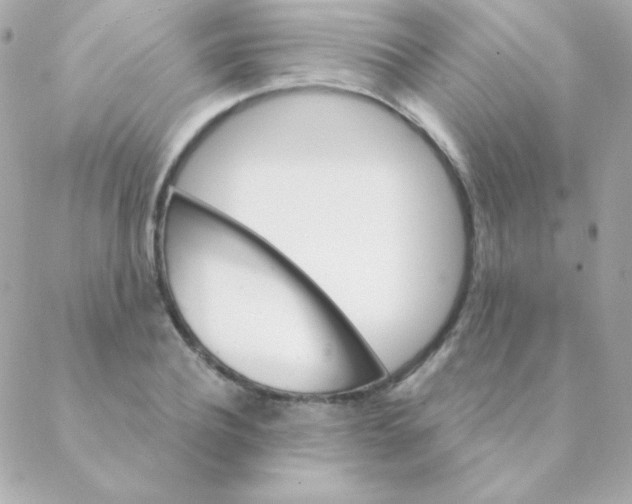 X0000088630932200706151913