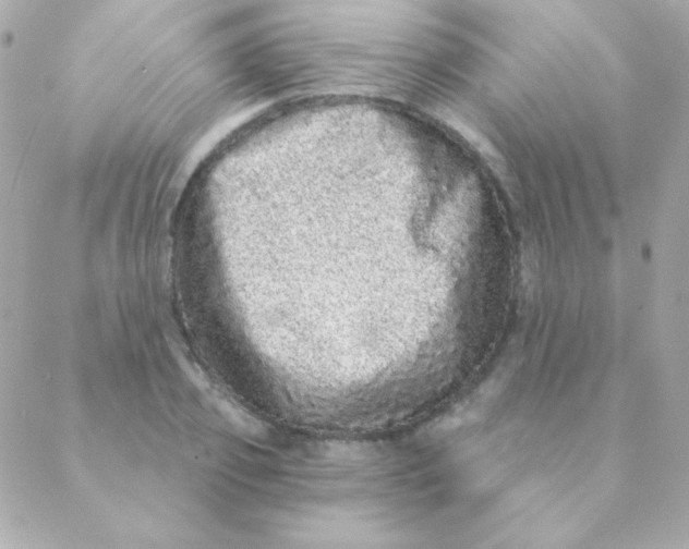 X0000088630933200706151913