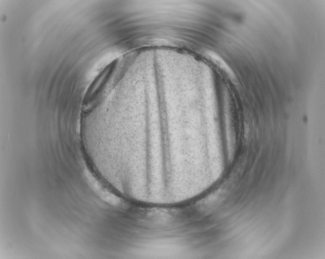 X0000088630938200706151914