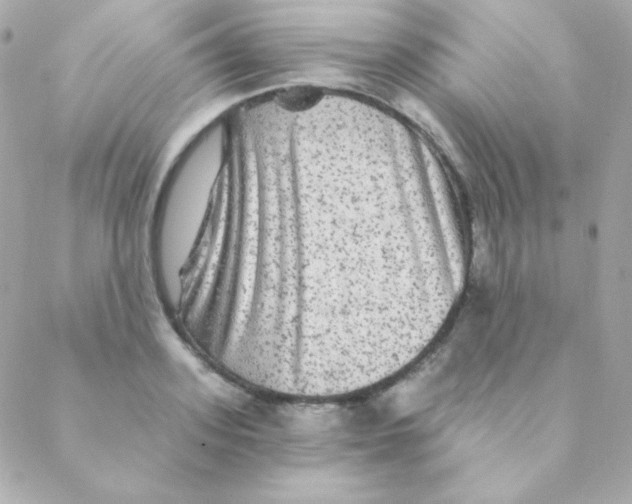X0000088630939200706151914