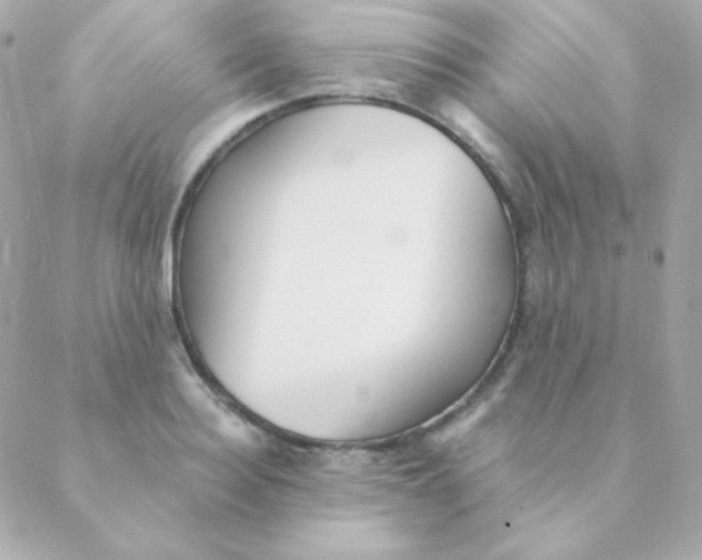 X0000088630940200706151914
