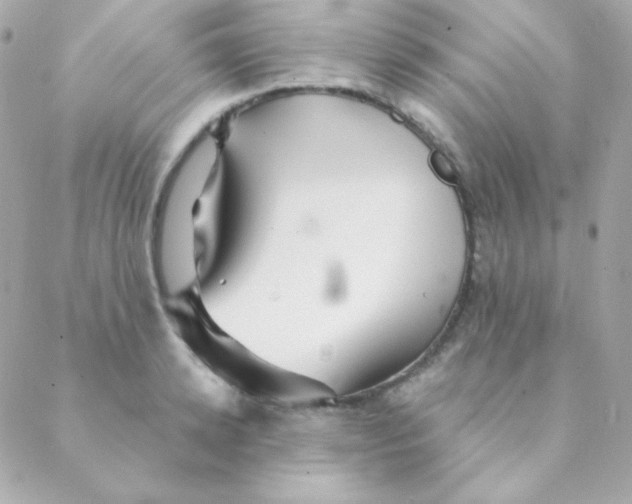 X0000088630942200706151914