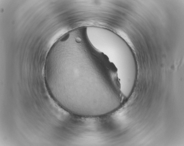 X0000088630946200706151914