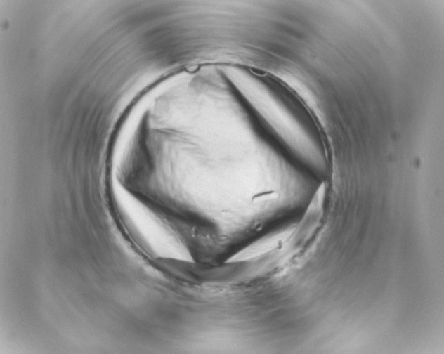 X0000088630949200706151914