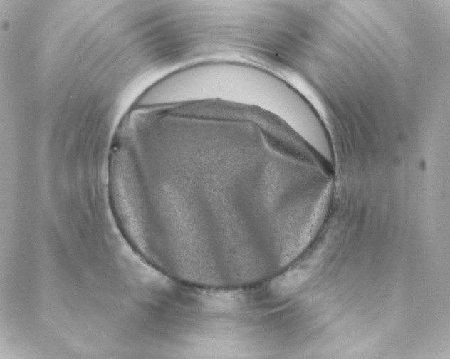 X0000088630951200706151914