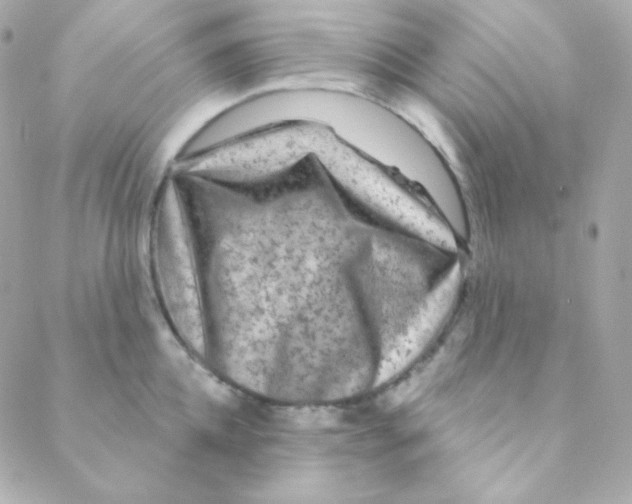 X0000088630952200706151914