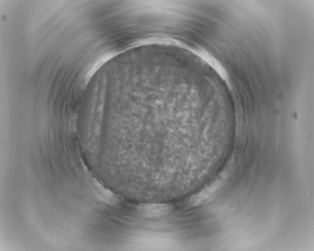 X0000088630953200706151914