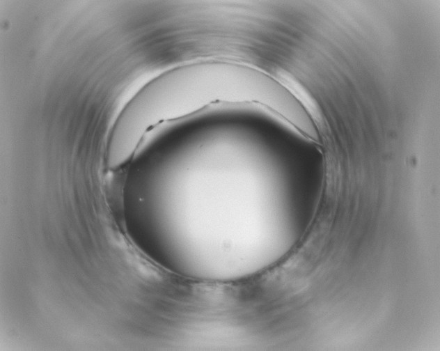 X0000088630956200706151914