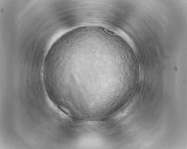 X0000088630958200706151914